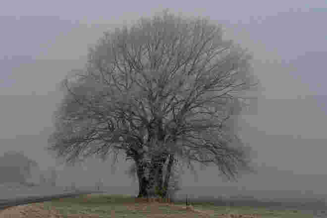Standhaft im Nebel