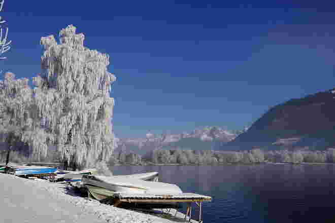 Ein forstiger Morgen am Zeller See - aber wunderschön