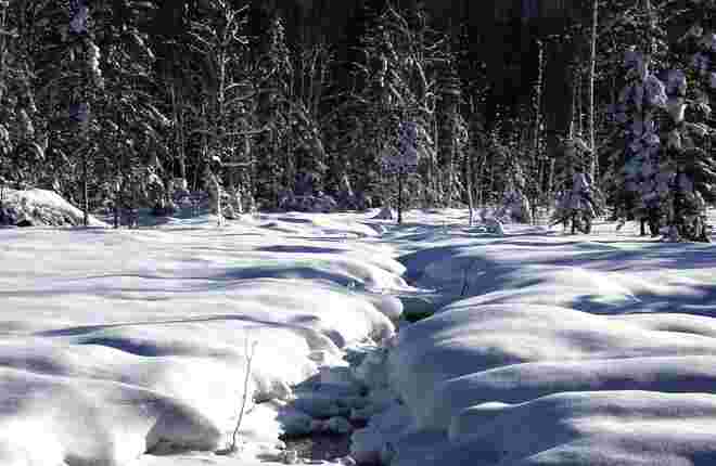 Moorwinter