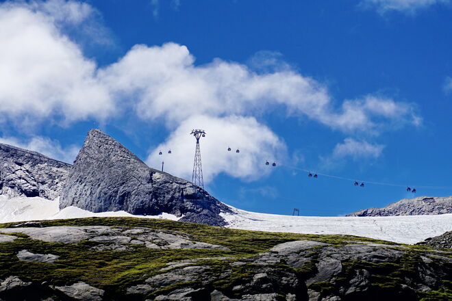 Am Gletscher wird´s grün ....