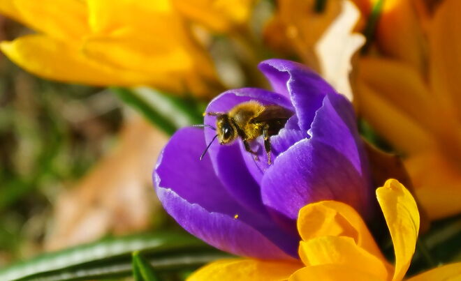 ... wieder aufgetaucht ....