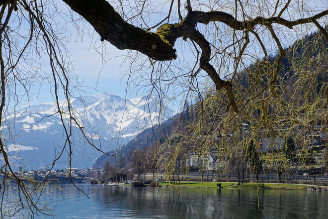 Frisches Grün und frischer Schnee