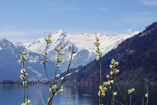 Am Berg Winter - im Tal Frühling