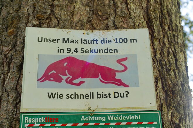 Ein besonderer Hinweis auf einer Alm in Rauris - ob es schon jemand ausprobiert hat, wer schneller ist?