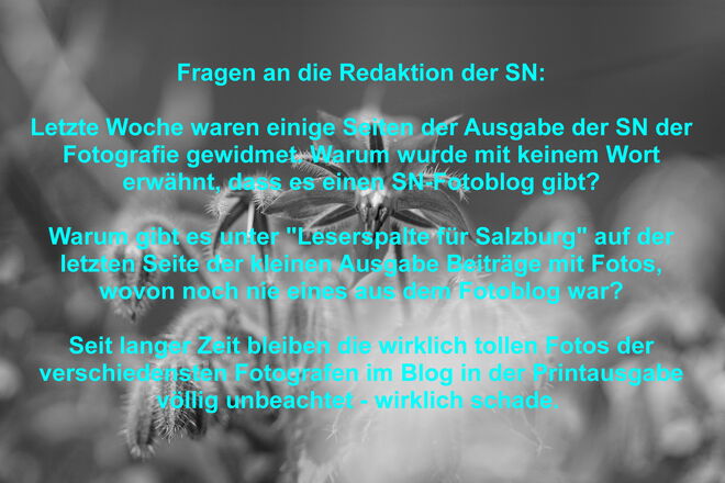 Fragen an die Redaktion