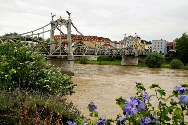 Hochwasser in Oberndorf