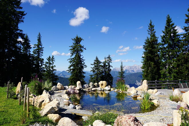 Ein Biotop auf 1752 m 