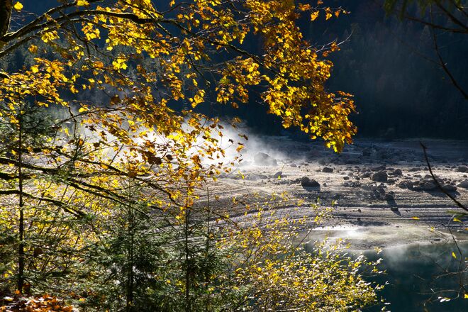 Nochmal ein wenig Goldener Herbst...