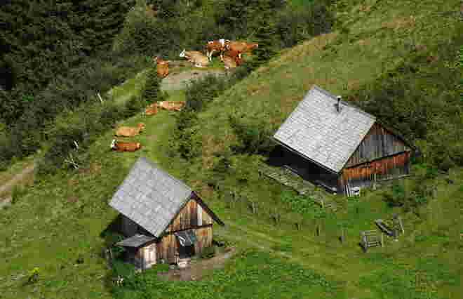 Almfrieden