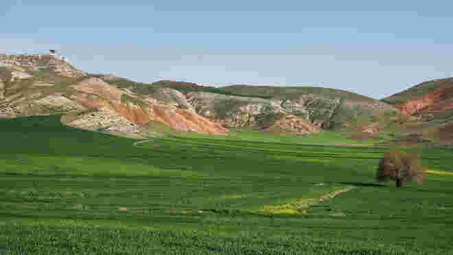 Frühling in Nallıhan, Ankara Prov.