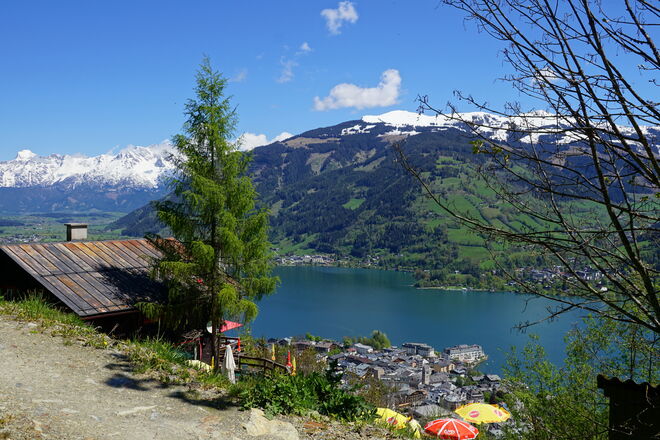 Blick von der Ebenbergalm auf Zell und den See