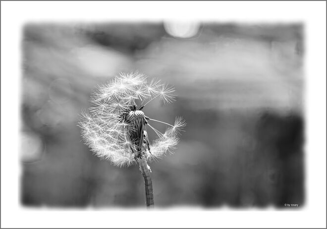 ... vor der großen Reise