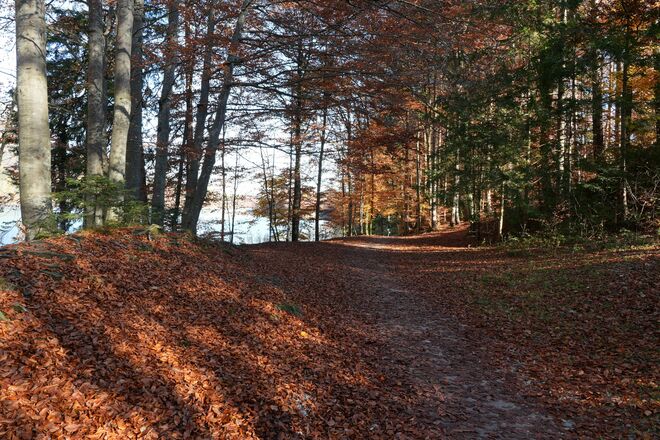 Herbstspaziergang am Reintalersee
