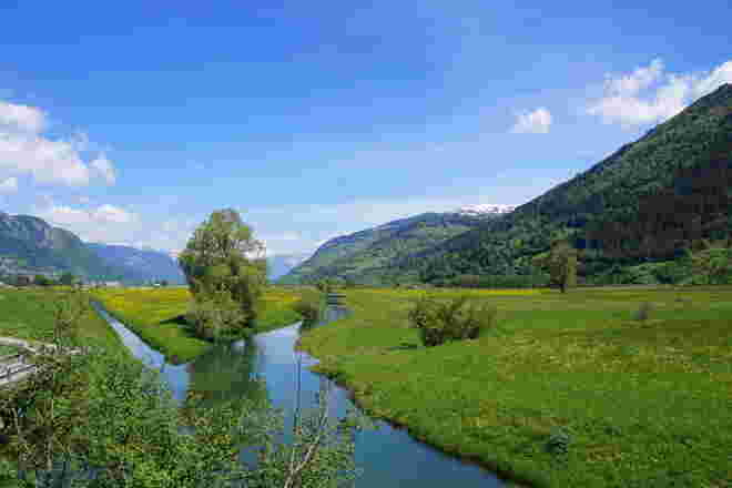 Blick übers Naturschutzgebiet Zeller See