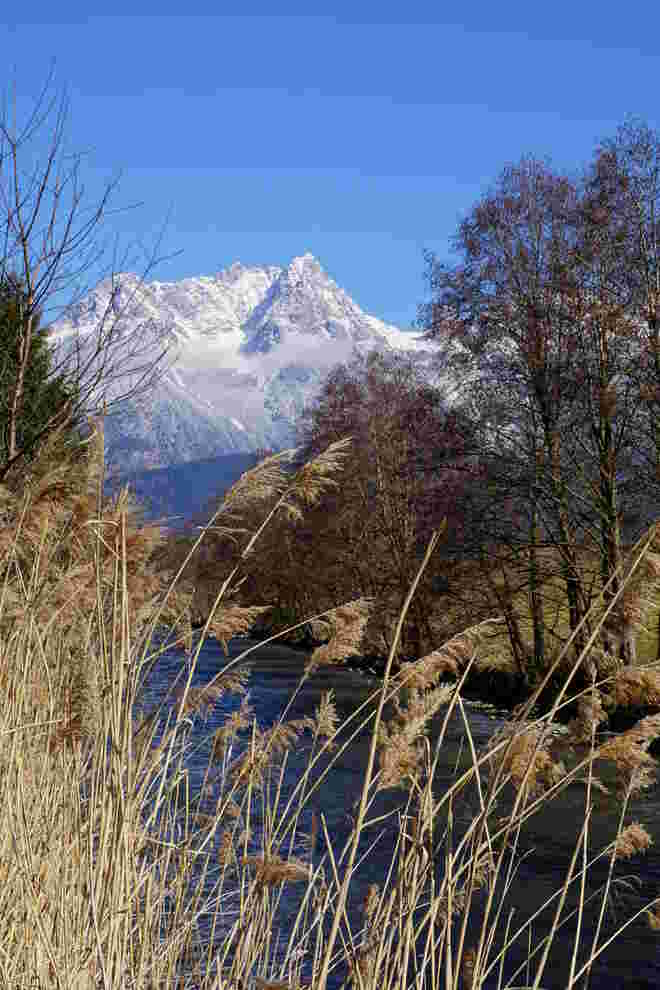 Am Ufer der Saalach