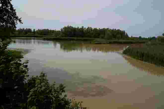 Aulandschaft am Inn