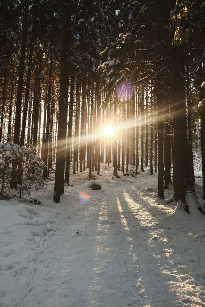 Wo die Sonne den Frost küsst
