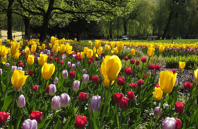 Im Park von Hellbrunn