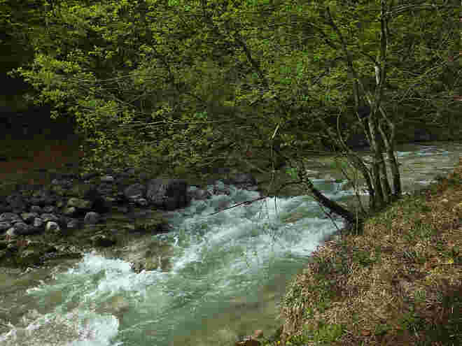 Schmelzwasser