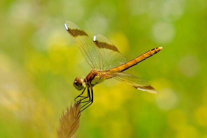 Erfreuliche Entdeckung