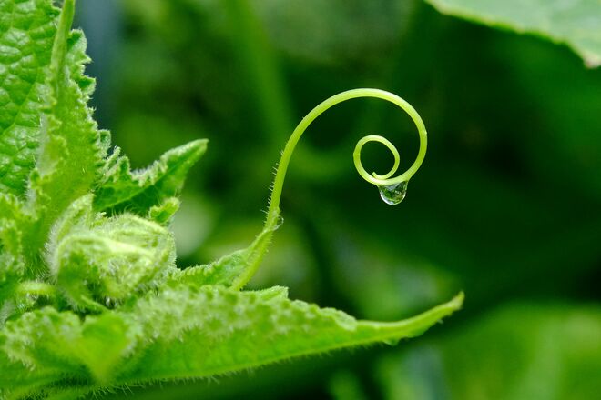 Danke für den Regen!