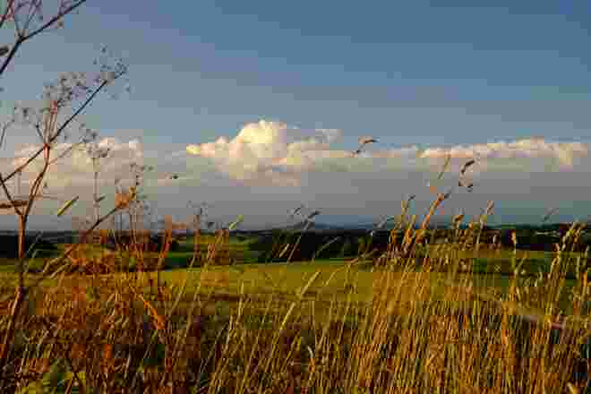 Goldener Abend