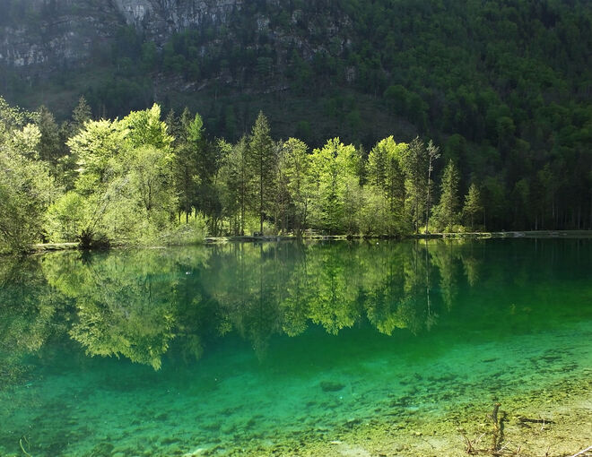 Grüner wird`s nimmer!
