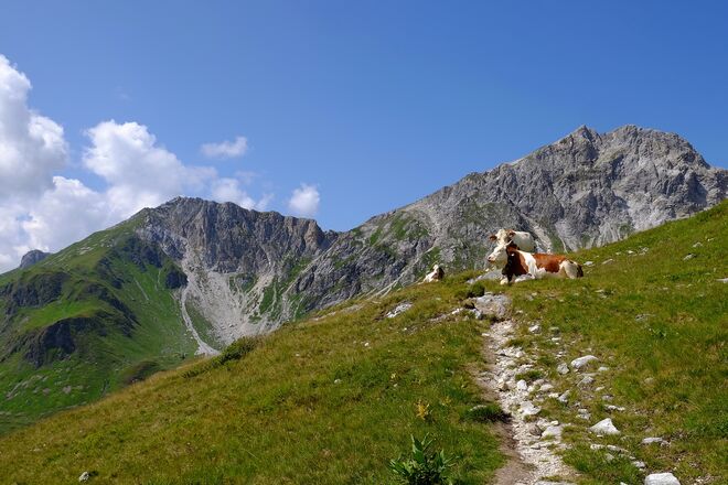 Unterwegs im Paradies