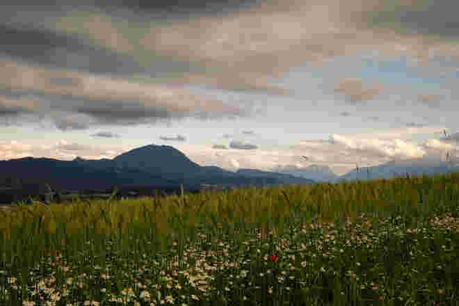 Frühsommerland