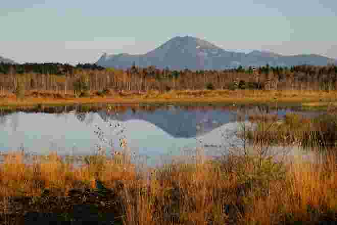 Herbst im Moor