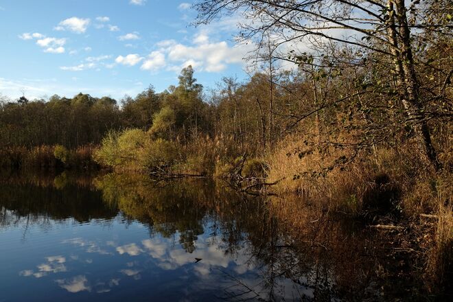 Nachmittag in der Au
