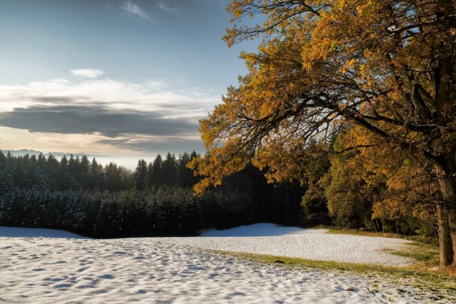 Herbstbraun und Winterweiß