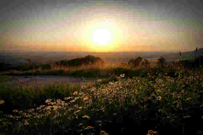 Sommerabend