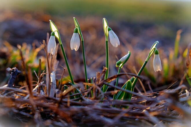 Jeden Tag ein paar mehr