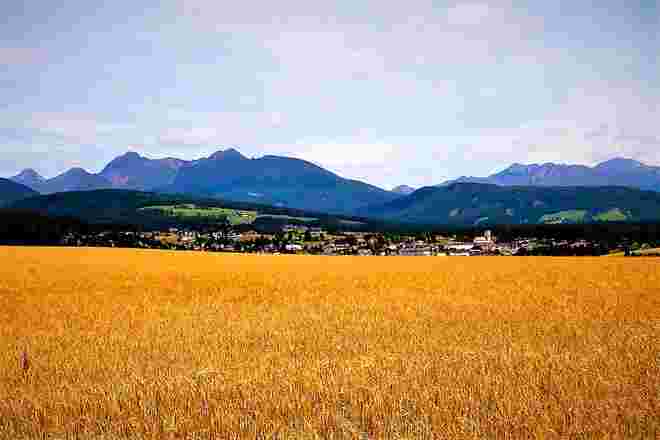 Gerstengold