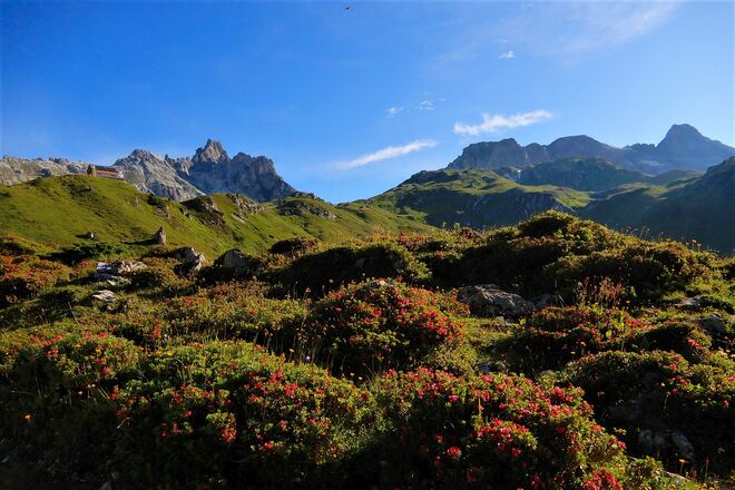 Im Licht der Morgensonne