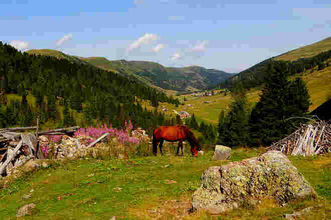 Alsommer in Schönfeld