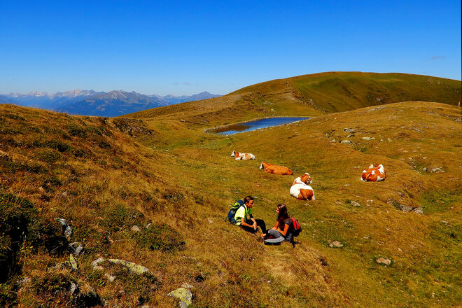Wandern in den Nockbergen