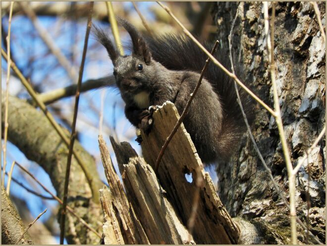 Irgendwie unbequem zum Sitzen 