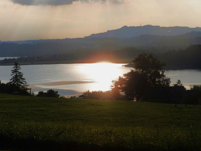 Abendstimmung am Wallersee