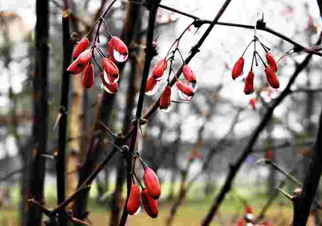 Regen 2 mit Farbe