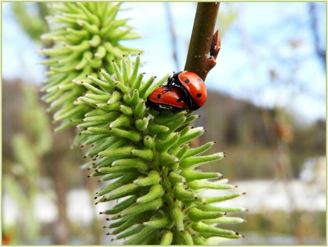 Da war ich aber indiskret 