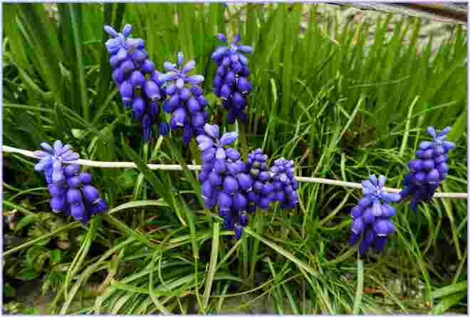 Herrliches Blau