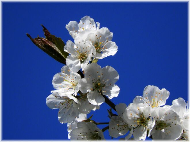 Weil's heut noch so schön ist