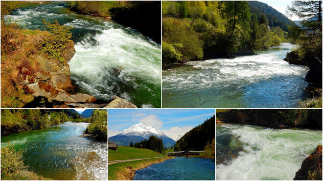 "Gesichter" der wilden grünen Mur