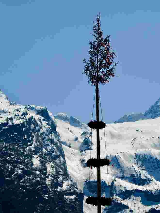 Spuren zum Maibaum