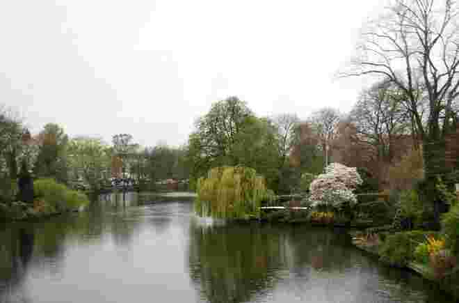 Ein Park in Hamburg