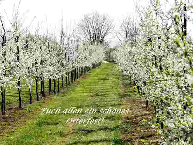 Frohe Ostern 