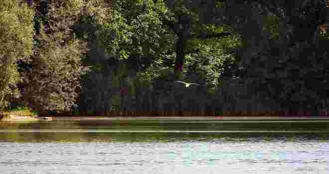 Ruhe am See