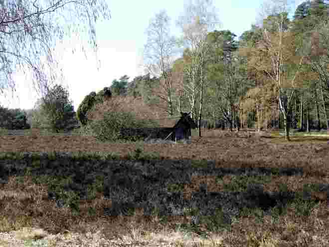 Lüneburger Heide